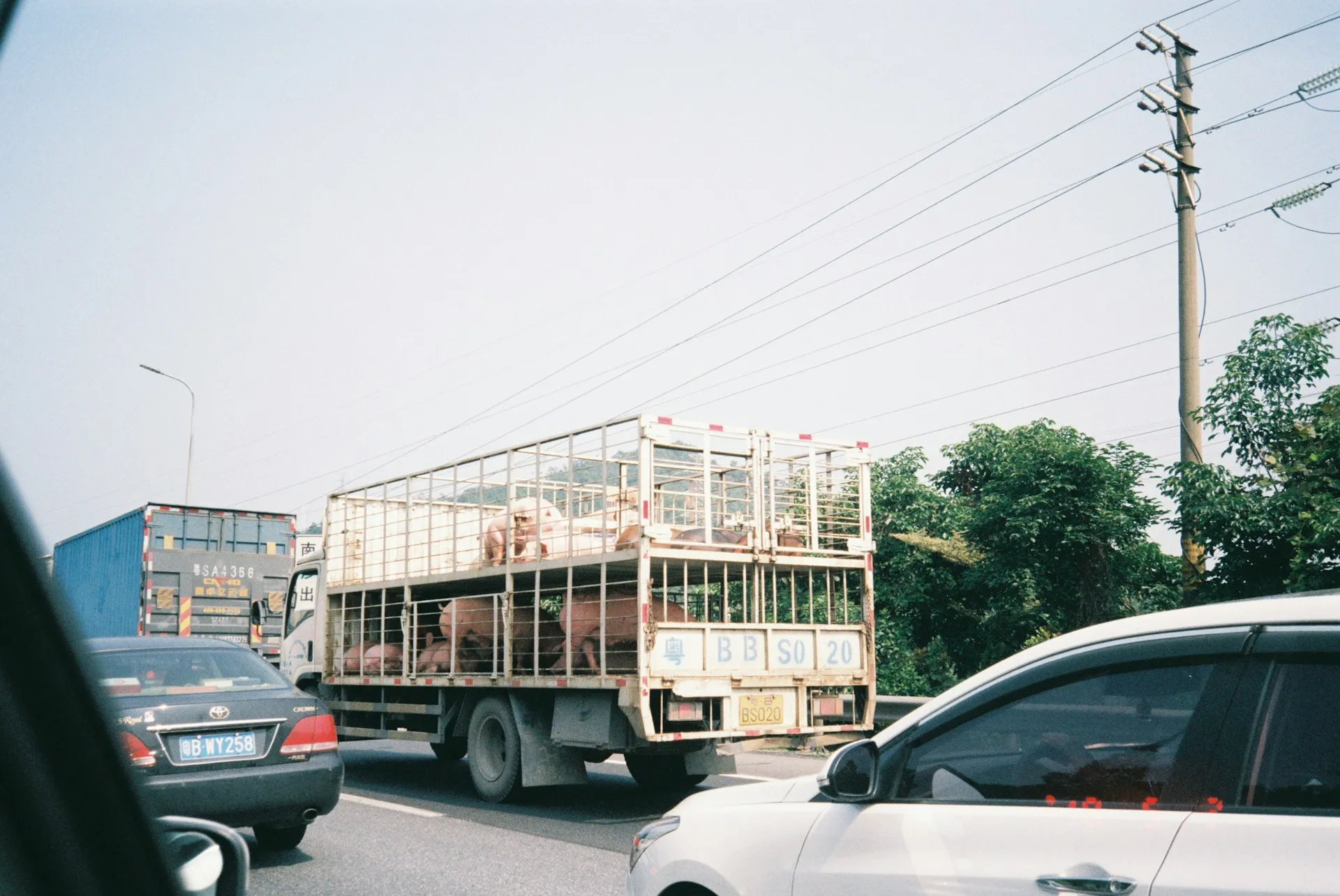 Truck in Malaysia (illustration).