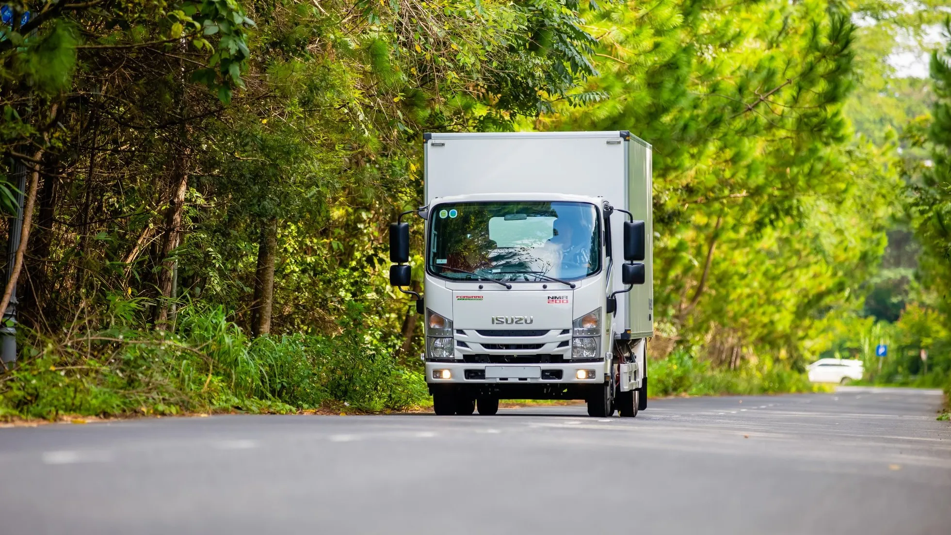 Isuzu N-series in action